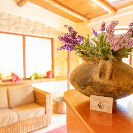 Puerto Seguro Bed & Breakfast Pizzo (Calabria)