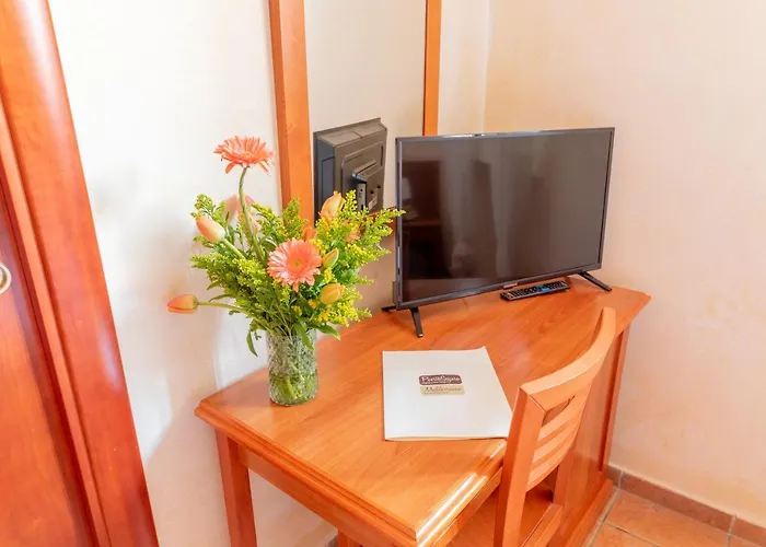 住宿加早餐酒店 Puerto Seguro 皮佐